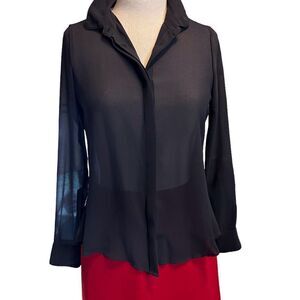 Shear black blouse, accordion, back side.